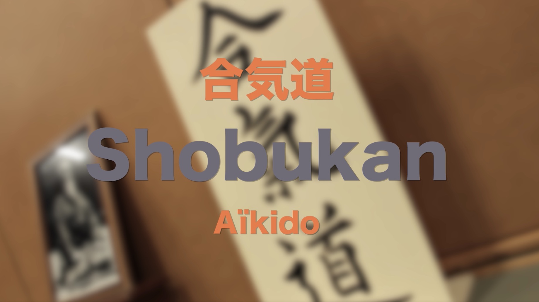 A\u00efkido \u00e0 LLN